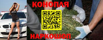эйфоретик Моздок