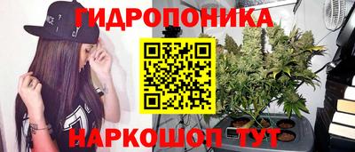 эйфоретик Моздок